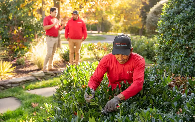 A Potomac Lawn Professionals crew member caring for garden beds in Northern Virginia